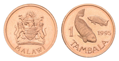 Малави 1 тамбала 1995 KM 33 бронза UNC 4588-946