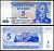 Приднестровье 5 купонов (рублей) 1994 Pick 17 бумага aUNC 8589-5-3-2