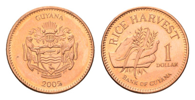 Гайана 1 доллар 2002 KM 50 сталь плакированная медью UNC 4685-565