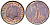 Нидерланды 1 цент 1980 Юлиана (1949-1980) KM 180 бронза UNC 220-521