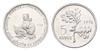 Турция 5 курушей 1976 ФАО - Образование для сельских женщин KM 907 алюминий UNC 45-1228