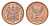 ЮАР 2 цента 1995 KM 133 сталь плакированная медью UNC 4621-219